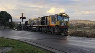 TasRail TR08 #55 train crossing Glenwood Road