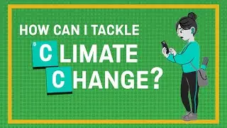 What can I do to Reduce Climate Change?
