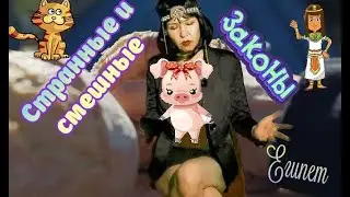 Странные и смешные законы. Египет.
