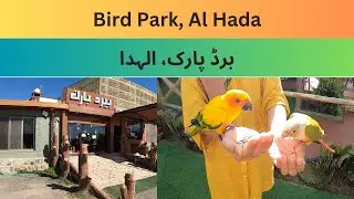 Bird Park Al Hada