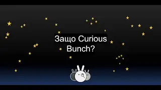 Защо Curious Bunch?