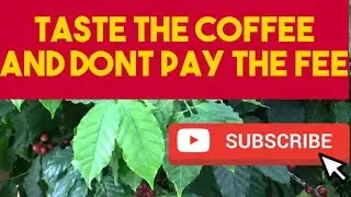 The Orgin Story of Coffee in India