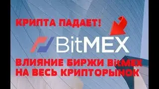 Bitmex  против «Crypto Punch Trade»