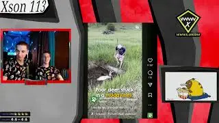 Reakce Na Reely