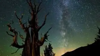 Shawn Reeder - Range of light [Nature Music Video]