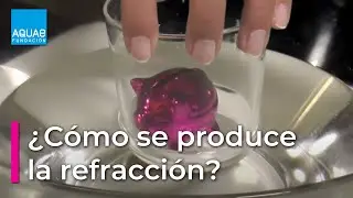 ¿Cómo se produce la REFRACCIÓN? | Experimentos