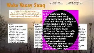 Woke Vacay Song 2025 #mariepanic #woke #vacay #song #prose #chanson #guitar #wokeism #vacation