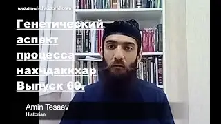 Историк Амин Тесаев | Генетический аспект процесса нахчдаккхар | Выпуск 69.