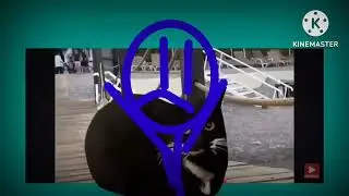 сломанный побег от желтобрюха (add, round 3)