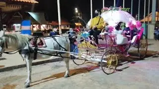 BERKUDA PANTAI BATU BURUK KUALA TERENGGANU