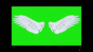 Free angel wings green screen