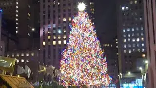 Exploring New York City in the Cold: A Journey to a Stunning Surprise!