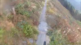 Dyfi cli-max trail