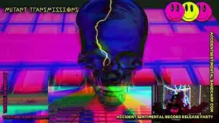 ACCIDENT SENTIMENTAL -  Porno Chic 