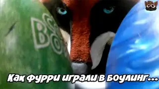 КАК ФУРРИ ИГРАЛИ В БОУЛИНГ... (