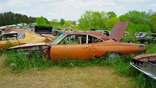 JUNKYARD in Wisconsin full of Muscle Cars!