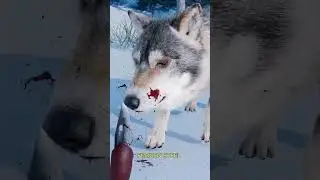 The Popsicle Wolf Trap 🐺