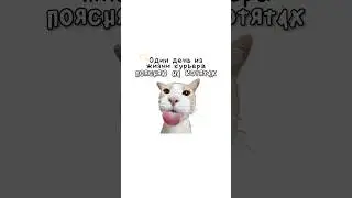 Один день из жизни курьера