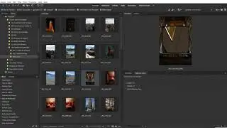 Conhecendo a Interface do Adobe Bridge
