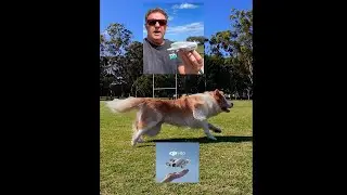 DJI NEO Real World