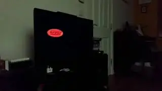 Cat is bewildered by DVD screen