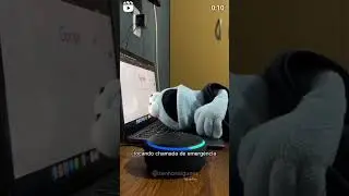 alexa auida 😂😂