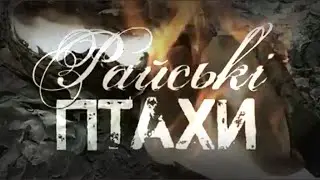 Райські птахи / саундтрек Ночі і дні