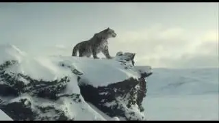 Русская реклама Audi Quattro Сочи 2014