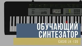 Обучающий синтезатор CASIO LK-135 с подсветкой