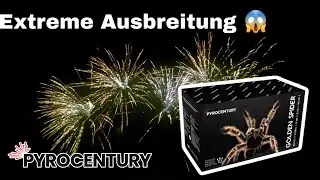 Pyrocentury Golden Spider Charge 2024 [4K]