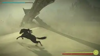 Shadow Of The Colossus| Spinning Agro