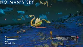 No Man's Sky