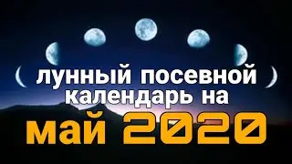ЛУННЫЙ ПОСЕВНОЙ КАЛЕНДАРЬ на май 2020. Сроки посева весной.
