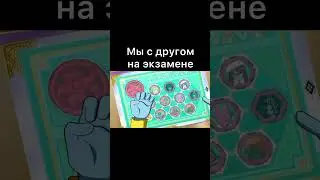 Экзамен :) #мем#рек#смешно#жиза #животные #shortvideo