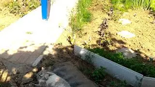 Кот работал,кот устал...