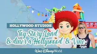 DISNEY WORLD - Dernière journée sur le parc :'(