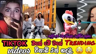 How to edit TikTok trending videos | in Sinhala | editing App