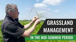 Grassland Management in the Mid-Summer Period - Noel Gowen Grasstec