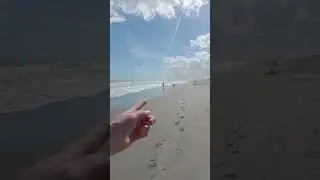 Cocoa Beach, FL 