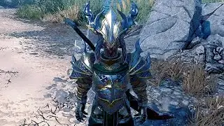 Divinity Original Sin 2 Max Level Gear Lizard Male Str
