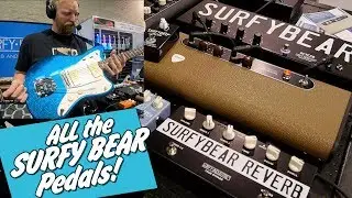All the Surfy Bear Reverbs!!! -  *drip*Drip*DRIP* FOR DAYS! - Surf guitar tones at 