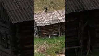 У Н О Р О Ж  9000 лет истории..