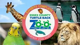 Turtle Back Zoo All Exhibits Tour West Orange Essex County NJs Best Rated Zoo #zoo