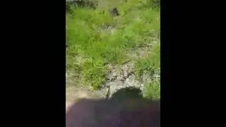 Wizo Blowing up a microwave with friends