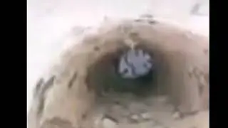 Я сломаю тебе жопу!