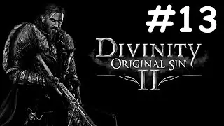 divinity original sin 2 прохождение # Дрифтвуд [13]