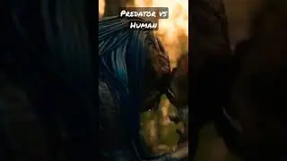 PREY: Predator vs Human #prey #predator #film #respect