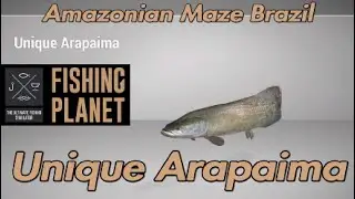 Unique Arapaima - Amazonian Maze Brazil - Fishing Planet Guide