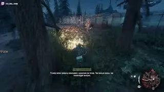 Days Gone PC