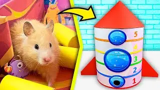 Rocket - Maze for Hamster 🚀 5 - Level SpaceX Maze